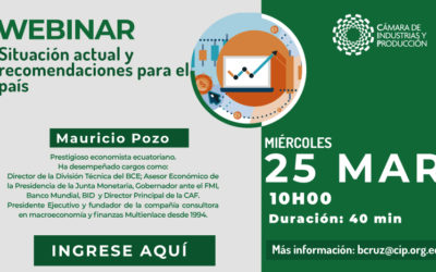 Webinar: situación actual y recomendaciones para el país