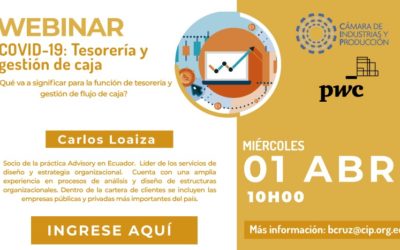 Webinar “COVID-19: Tesorería y gestión de caja”