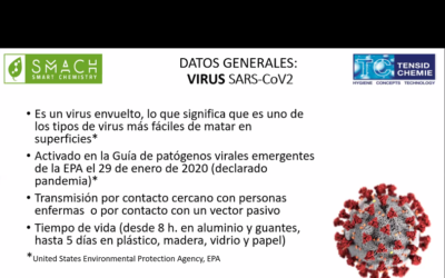 Conoce más sobre protocolos de desinfección responsables para empresas