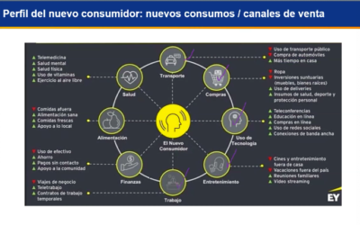 Webinar: Oportunidades de negocios y nuevos ingresos en época de Covid-19