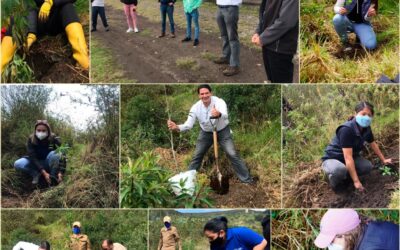 El primer CIP Reforesta fue un éxito